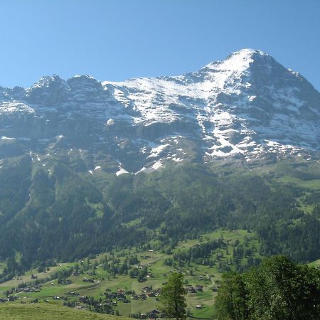 Chalet Uf Em Stutz 1 Grindelwald Exterior photo