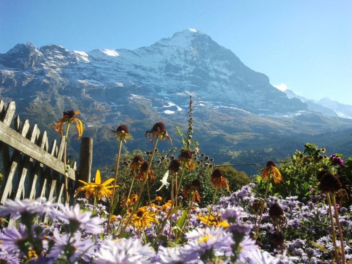 Chalet Uf Em Stutz 1 Grindelwald Exterior photo